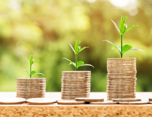 Wendell Partners – a ready-made software package accelerated business start-ups